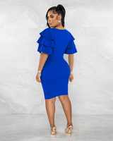 Ruffle sleeve dress